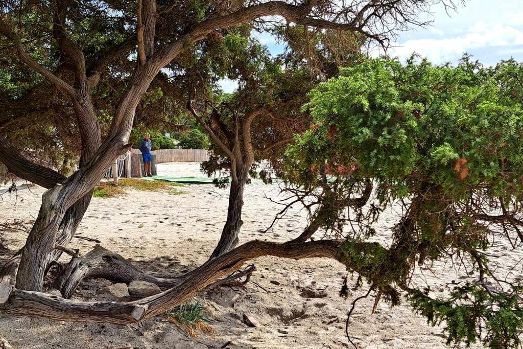 La Casa Di Tina * Alghero